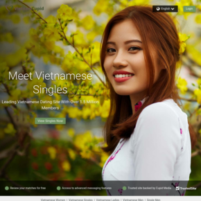 vietnamcupid com