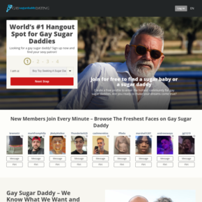 gaysugardaddydating net